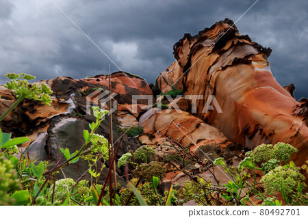 基隆、野柳、南雅岩 80492701