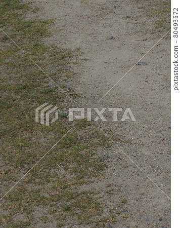 Wasteland Grassland Nohara Weed Land 80493572