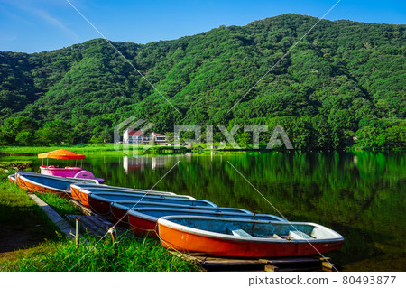 Lake Haruna in summer, Prefectural Haruna Park (Takasaki City, Gunma Prefecture) Lake Haruna in summer, Prefectural Haruna Park (Takasaki City, Gunma Prefecture) 80493877