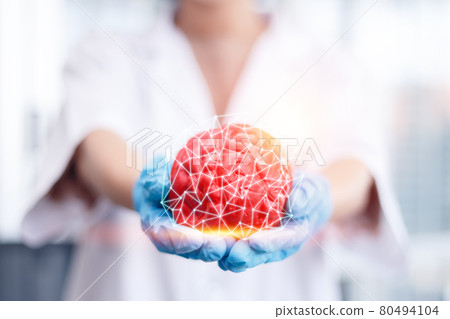 woman doctor holding medical brain model case connect around abstract polygonal. woman doctor holding medical brain model case connect around abstract polygonal. 80494104