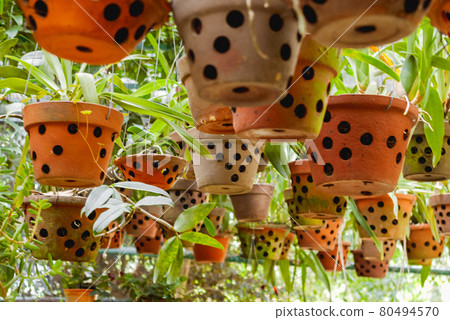 Greenhouse with hanging clay pots. Special flower pots with holes for aerial roots of tropical plants and orchids. Greenhouse with hanging clay pots. Special flower pots with holes for aerial roots of tropical plants and orchids. 80494570