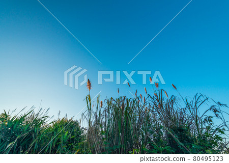 The morning light of a bright new day.23 80495123