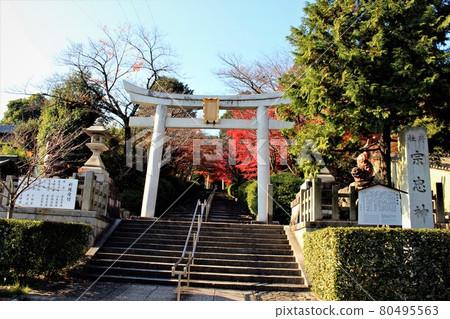 Munetada Shrine and autumn leaves 80495563
