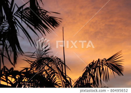 Fantastic sky Fantastic sky 80495652