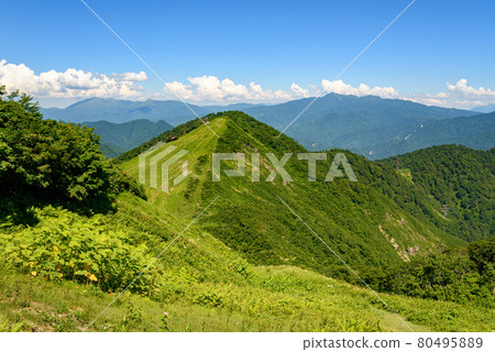 夏季天神山口和高倉山 80495889