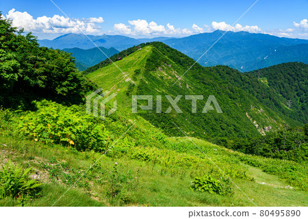 Blue sky and Mt. Takakura 80495890