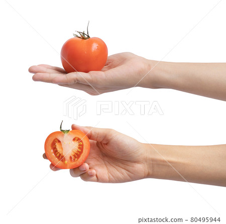 Hand holding a tomato isolated on white background. Fresh vegetable. Raw organic healthy food. Grocery and supermarket cooking and eating. 80495944