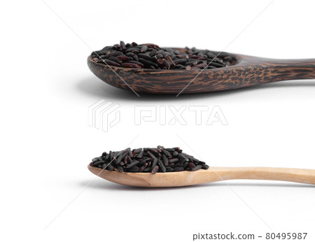 Paddy rice with black riceberry rice isolated on white background. Organic. Raw, wheat or grain. Agriculture. Food. 80495987