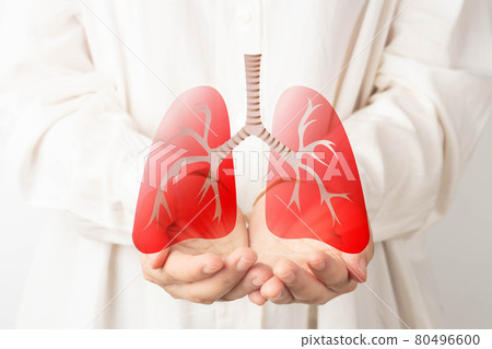 Human hands holding lung organ symbol. Awareness of lung cancer, pneumonia, asthma, COPD, pulmonary hypertension, world no tobacco day and eco air pollution. Respiratory and chest concept. Human hands holding lung organ symbol. Awareness of lung cancer, pneumonia, asthma, COPD, pulmonary hypertension, world no tobacco day and eco air pollution. Respiratory and chest concept. 80496600