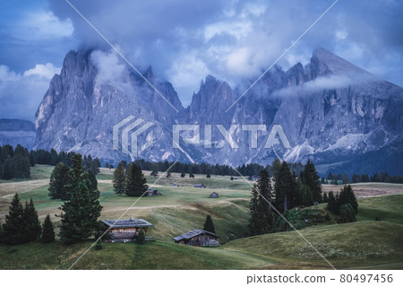 Dolomites. Landscape scenery of Seiser Alm, wooden huts and Sassopiatto and Sassolungo peaks in beckground 80497456