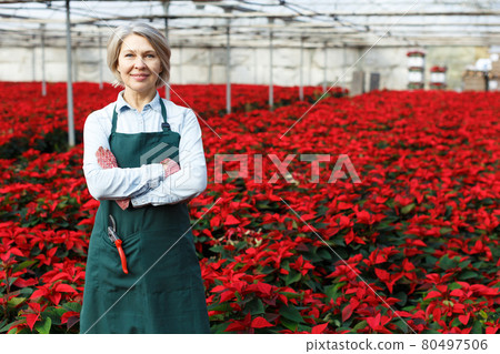 Confident female in her greenhouse 80497506