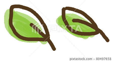 兩片手繪葉子朝左 兩片手繪葉子朝左 80497658