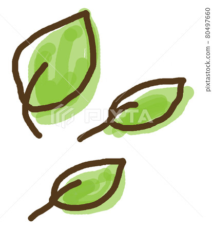 手繪樹葉,三片朝右 手繪樹葉,三片朝右 80497660