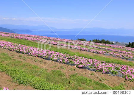 Biwako Hakodateyama Summer Event 80498363