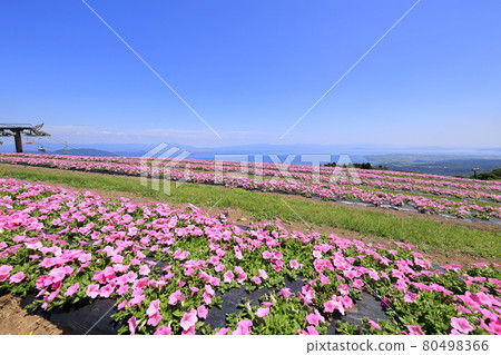 Biwako Hakodateyama Summer Event 80498366