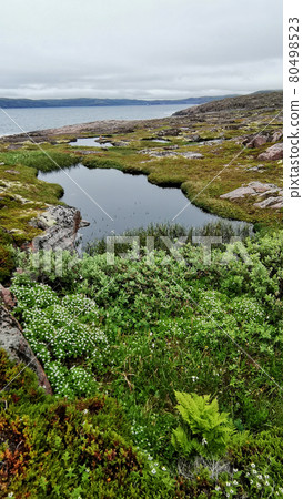 Tundra Landscapes. Natura Wallpaper 80498523
