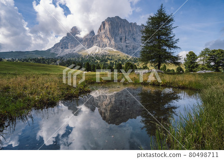 Passo Sella group close to val Gardena. Nature pond and reflection of Sassolungo Langkofel mountain. Dolomites, Italy 80498711