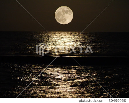 Moonlight Sea Moonlight Sea 80499068