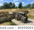 Cannon on Saaremaa Island, Estonia 80499069