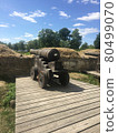 Cannon on Saaremaa Island, Estonia 80499070