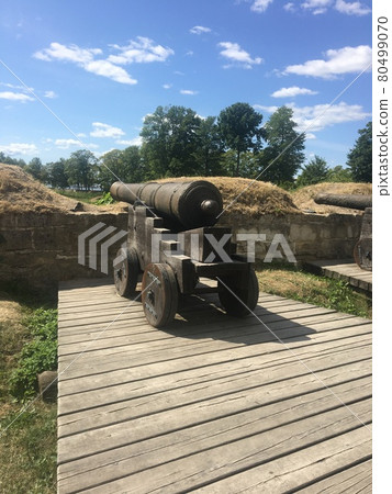Cannon on Saaremaa Island, Estonia 80499070