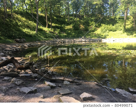 Crater on Salema Island, Estonia 80499071