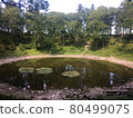 Crater on Salema Island, Estonia 80499075