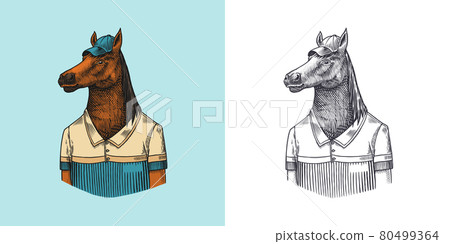 Horse character in coat. Dobbin polo player. Fashionable animal, vitorian gentleman in a jacket Horse character in coat. Dobbin polo player. Fashionable animal, vitorian gentleman in a jacket 80499364