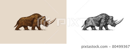 Woolly rhinoceros. Extinct animal. Ice Age. Vintage retro vector illustration. Doodle style. Hand Woolly rhinoceros. Extinct animal. Ice Age. Vintage retro vector illustration. Doodle style. Hand 80499367