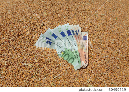 Wheat and Euro banknote agricultural concept Wheat and Euro banknote agricultural concept 80499519