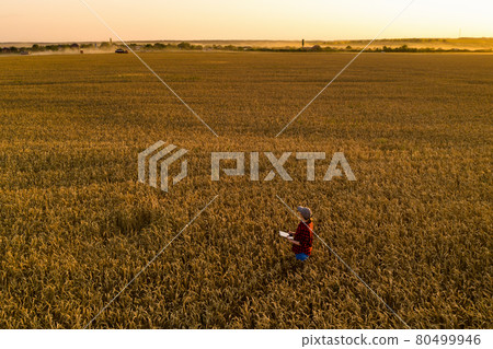 Farmer with digital tablet on a wheat field. 80499946