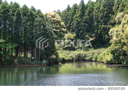 龜山市山區的釣魚點 龜山市山區的釣魚點 80500589