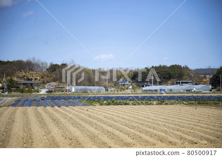 A rural village with well-organized furrows A rural village with well-organized furrows 80500917