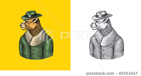 Cheetah character. Guepard in coat. Fashionable animal, vitorian gentleman in a jacket. Hand drawn 80501647
