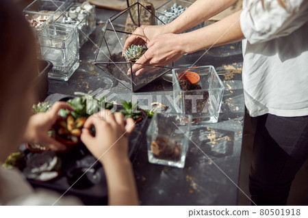 caucasian confident happy florist is working with her young daughter and making composition from glass stones and plants in botanic shop caucasian confident happy florist is working with her young daughter and making composition from glass stones and plants in botanic shop 80501918
