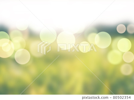 Background, green, backgound 80502354