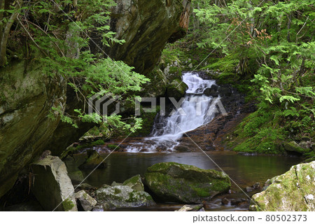 Hagoromo Falls Okura Falls Promenade (Kiyomi Town, Takayama City, Gifu Prefecture) 80502373