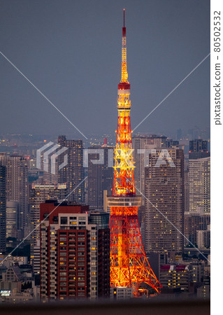 Tokyo Tower at dusk, Night view of Tokyo tower Tokyo Tower at dusk, Night view of Tokyo tower 80502532