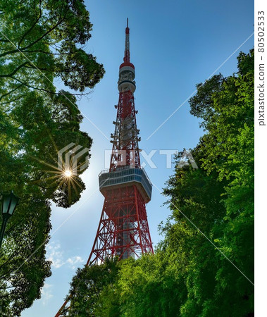 Tokyo Tower Clear Sky, Green Tokyo Tower Clear Sky, Green 80502533