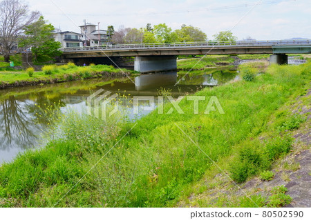 Kamo River and Aoi Bridge (Kyoto City) 80502590