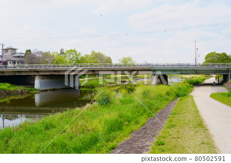 Kamo River and Aoi Bridge (Kyoto City) Kamo River and Aoi Bridge (Kyoto City) 80502591