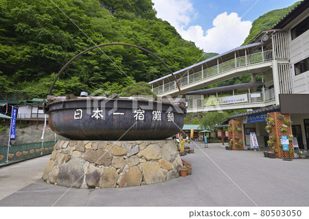 Hida Great Limestone Cave (Nyukawa-cho, Takayama City, Gifu Prefecture) 80503050