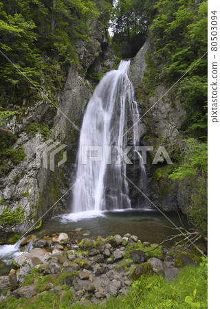 Choshi Waterfall (Nyukawa-cho, Takayama City, Gifu Prefecture) Choshi Waterfall (Nyukawa-cho, Takayama City, Gifu Prefecture) 80503094