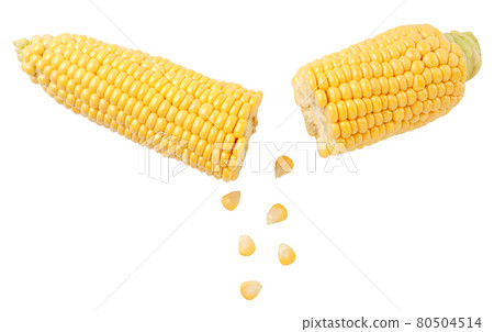 Peeled corn on the cob and broken drops on a white background, corn cut. Isolated Peeled corn on the cob and broken drops on a white background, corn cut. Isolated 80504514