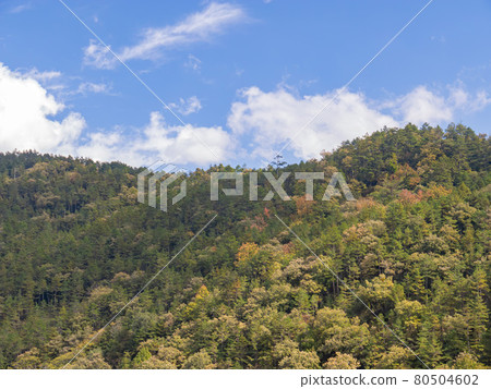 Autumn landscape in Wuling Farm 80504602