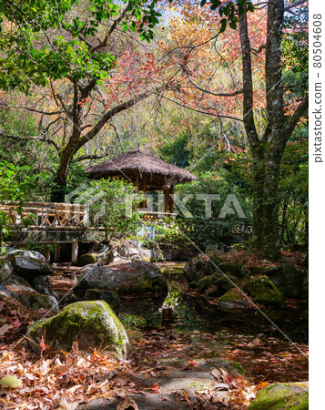 Autumn landscape in Wuling Farm Autumn landscape in Wuling Farm 80504608