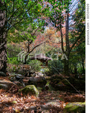 Autumn landscape in Wuling Farm Autumn landscape in Wuling Farm 80504609