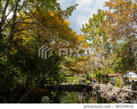 Autumn landscape with a pond reflection in Wuling Farm 80504616