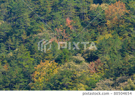 Autumn landscape in Wuling Farm Autumn landscape in Wuling Farm 80504654