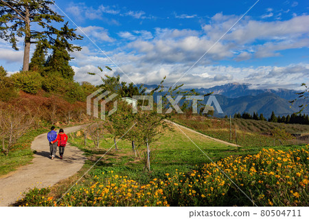 Autumn mountain landscape in Wuling Farm Autumn mountain landscape in Wuling Farm 80504711